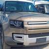 Land Rover Defender 110 Gold 2020 thumb 1