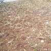 Amazing 4 BR Houses in Ngong thumb 9