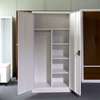 Office Cabinet : Grey Lockable Two-Door Steel Filing Cabinet thumb 1