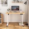 Office Desk;Adjustable Height Electric Standing Desk thumb 5