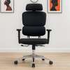 Full Fabric Orthopedic Office Chair thumb 0