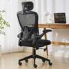 Ergonomic Home Office Desk chair thumb 3