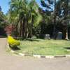 Lovely 5 BR House plus Dsq in Karen thumb 4