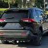 Toyota Rav4 adventure sunroof 2019 thumb 9