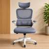 Ergonomic Orthopedic Office Chair thumb 1