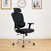 Office Chairs;Orthopedic Office Executive Chair In Kenyenya thumb 5