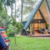 A-Frame wooden villa construction thumb 4
