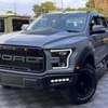 Ford Raptor thumb 7