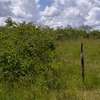 2-Acre Freehold Land With Nairobi City & SGR Views thumb 8