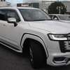 2022 TOYOTA LANDCRUISER thumb 1