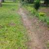 LAND FOR SALE ON THE CREEK. thumb 5