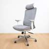 Executive Chairs : Orthopedic Executive Office Chair thumb 1