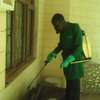 Pest Control and Fumigation Services Gigiri thumb 1
