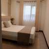 2 Bedroom furnished for rent in Kileleshwa thumb 6
