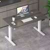 Office Desk;Contemporary Multifunctional Elite Standing Desk thumb 4