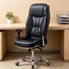 Generic Orthopedic Office Chair thumb 4