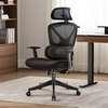 Orthopedic Executive Office Chair thumb 3