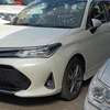 Toyota corolla Fielder WxB White 2018 thumb 0