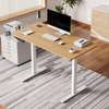 Standing Desks:Electric Adjustable Standing Desk In Suneka thumb 0