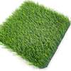 Carpet: 1000mm Green Office Carpet In Bomet thumb 7