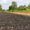 50 by 100 PRIME PLOTS FOR SALE IN MAKUTANO PI (MWEA) thumb 1