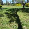Lovely 5 BR House plus Dsq in Karen thumb 2