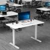 Standing Desk; 1.2M Electric Standing Desk In Marani thumb 0