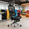 High Back Orthopedic Chair with Footrest thumb 0