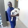 House Managers, Housekeepers, Chefs/Cooks, Estate Managers, Butlers, Chauffeurs/Drivers, Cleaners & Garden Services in Nairobi. thumb 10