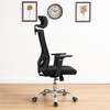 Ergonomic Home Office Chair thumb 2