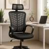 Executive Chairs : High-back Executive Office Chair thumb 0