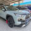 Toyota Rav4 Adventure green 2020 thumb 3