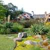 Professional Gardeners for Hire in Ruiru Nairobi thumb 10
