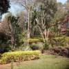 4 Bed House with En Suite at Old Muthaiga thumb 1