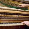 Piano keyboards,PA address, speakers, and amplifiers Repair thumb 1