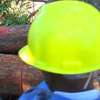 Tree Pruning & Cutting Kiambu Road, Ruiru & Juja Estates thumb 1