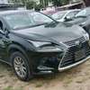 LEXUS NX300,2019 MODEL thumb 1