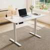 Standing Desk: 1.4m Standing Office Desk In Nyakoe thumb 0