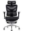 Office Chair: Mesh Orthopedic Seat With Footrest thumb 1