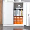 Office Cabinet: 2-Door Office Cabinet In Gesima thumb 2