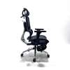 Office Chairl; Orthopedic Office Chair With Foot Rest thumb 1