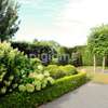 Hire Gardeners in Nairobi | Professional, Vetted & Reliable thumb 6