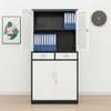 Office Cabinets;2 Doors Office Storage Cabinet  In Tabaka thumb 4