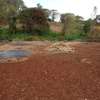 MUTHITHI GARDENS - 0.5 ACRE PLOT FOR SALE thumb 5