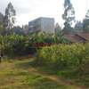 500 m² Commercial Land in Kikuyu Town thumb 1