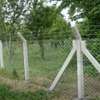Concrete Chain Link Fencing in Kenya thumb 1