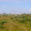 Prime affordable plots for sale in Kiserian thumb 5