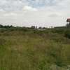 Residential Land at Forest View Lane thumb 12