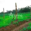 0.125 ac Land at Kamangu thumb 3