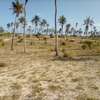 50-Acre Beach Plot For Sale in Bofa/Kilifi thumb 7